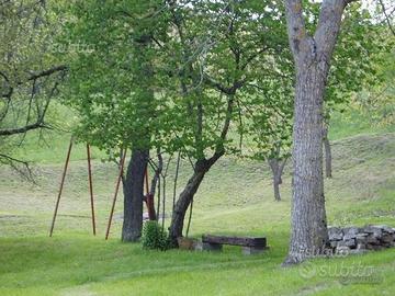 Casa immersa nel verde