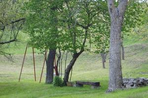 Casa immersa nel verde