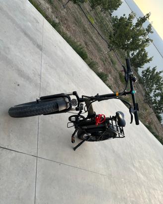 Bici elettrica Wd99
