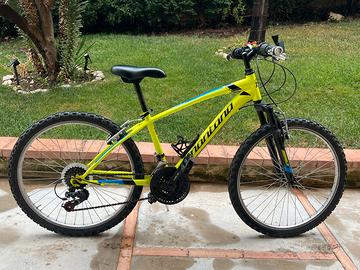 City bike