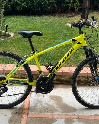 City bike