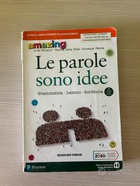 Le parole sono idee