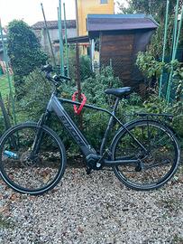 Bicicletta elettrica