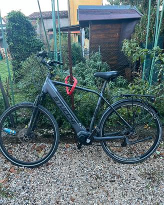 Bicicletta elettrica