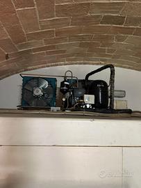 Cella frigorifera e macchina del ghiaccio