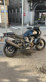 Harley davidson PAN AMERICA