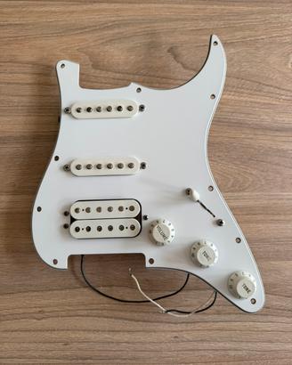 Battipenna completo Fender Stratocaster HSS