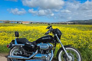 pedane avanzate/ centrali