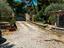 Immagine 25