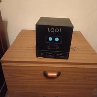 looi robot 