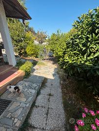 ALBENGA CASETTA CON GIARDINO
