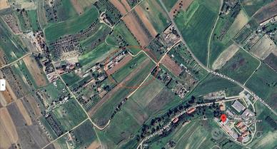Vigneto a Selargius