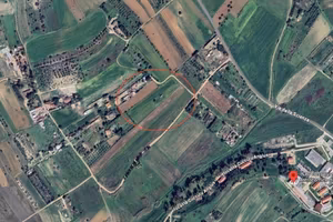 Vigneto a Selargius