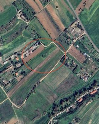 Vigneto a Selargius