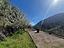 Immagine 25