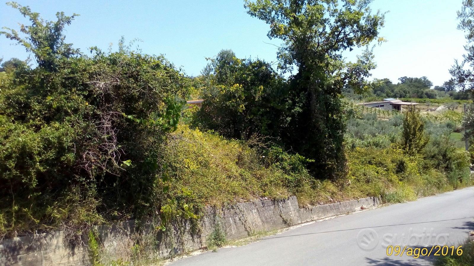 Terreno agricolo - Vista 5