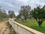 Immagine 10