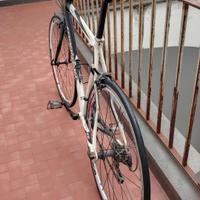 Bici Da Corsa MONTANA RJINGO forcella in carbonio