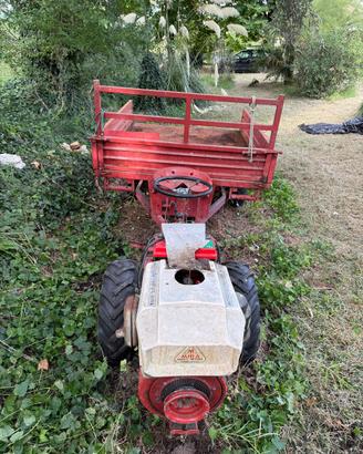 Trattorino/motocoltivatore con cassone