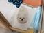 Immagine 4