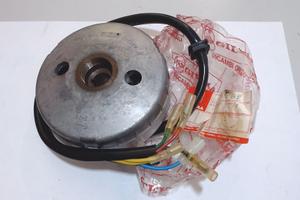 VOLANO MAGNETE COMPLETO ROTORE GILERA 339332