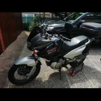Suzuki Freewind 650