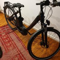 Bici elettrica a pedalata assistita