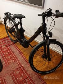 Bici elettrica a pedalata assistita