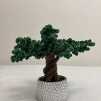 Bonsai