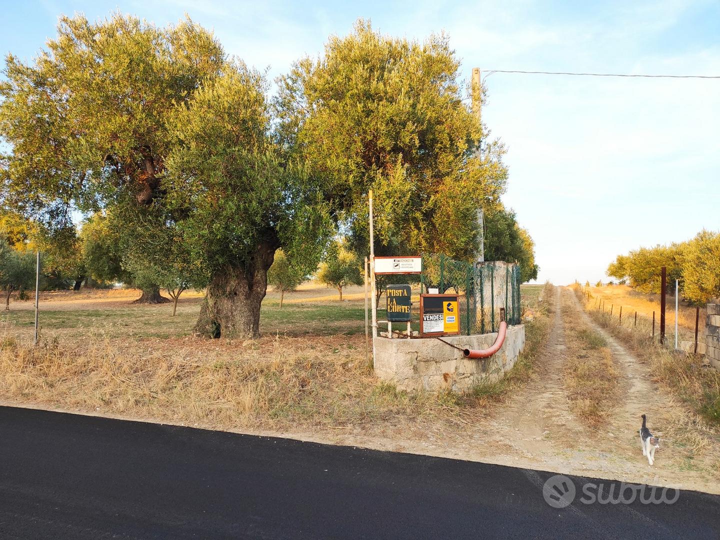 Terreno agricolo - Altro