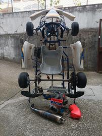 go kart mini pronto pista 