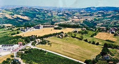 Lotto Terreno Edificabile -Cupramontana (AN)