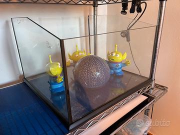 Terrario vasca per anfibi