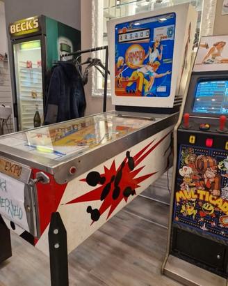 Flipper rigenerato a nuovo