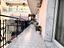 Immagine 22