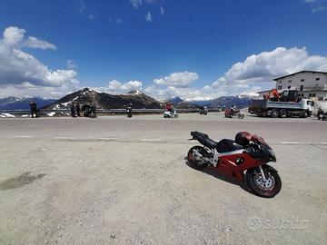 Suzuki gsxr 600 con trail