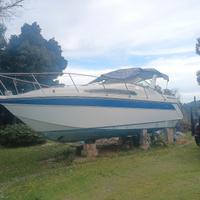 Cruiser americano Thompson Santa Cruz 31  natante 