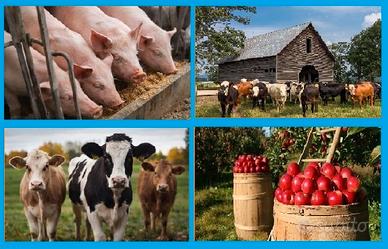 Addetto al bestiame, operaio agricolo
