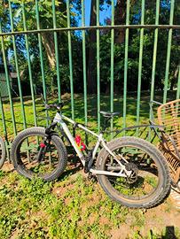 fat bike specialized 