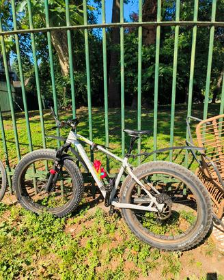 fat bike specialized 