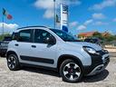 fiat-panda-1-0-firefly-s-s-hybrid-city-cross-carpl
