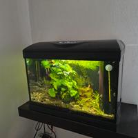 Mini acquario completo di tutto 