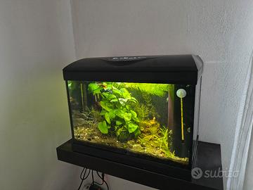 Mini acquario completo di tutto 