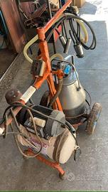 MUNGITRICE PER LE MUCCHE VISTA E PIACIUTA