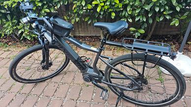 E-bike  Olympia Mistral 900 X 