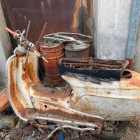 Bianchi orsetto da recuperare vespa