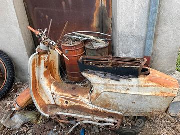 Bianchi orsetto da recuperare vespa