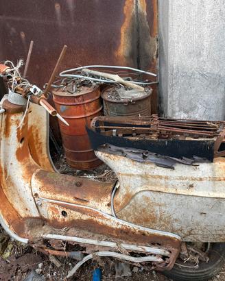 Bianchi orsetto da recuperare vespa