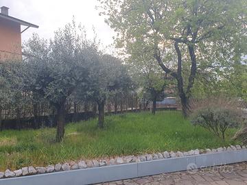 Sistiana appartamento