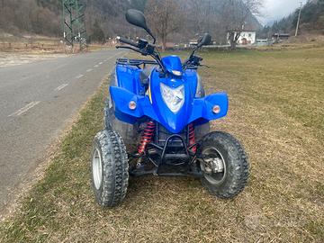 Quad Kymco Kxr 250 Targato